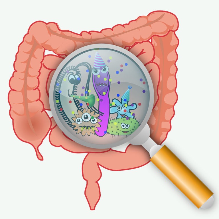Der Darm mit einem Vergrößerungsglas, durch das verschiedene darmbewohnende Mikroorganismen sichtbar sind.